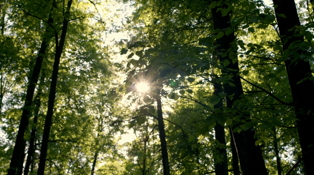 A million Times 61c (Zephyr) / Zephyr